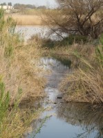 Habitat, Agia Lake, Chania