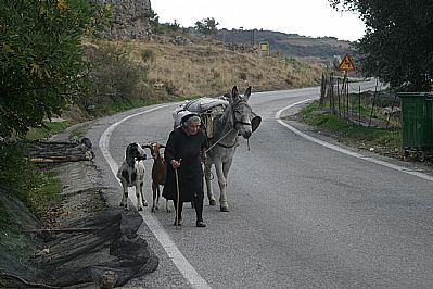Traditional Life on Crete, Winter 2008