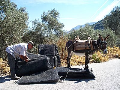 Traditional Transport, Rethymnon, Crete