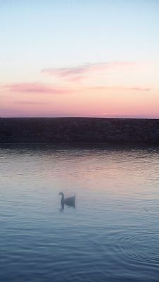 Bird watching at sunset, Sissi, Lasithi, Crete