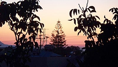 Trees at Sunset, Platanes, Rethymnon, Crete